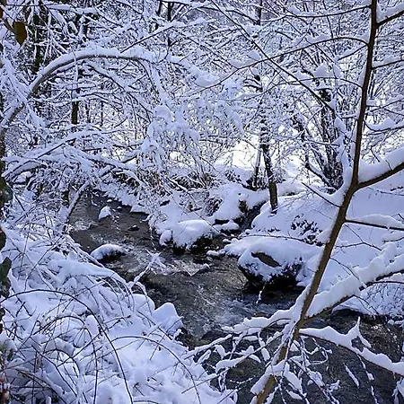 Centre De La Salamandre * Arrens-Marsous